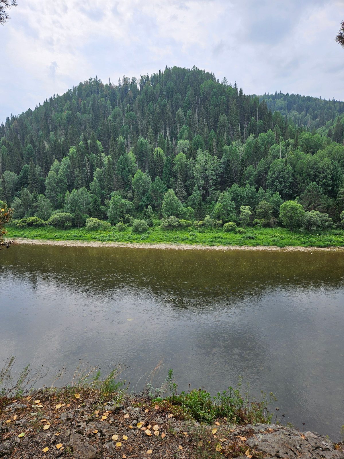 Rivière et colline boisée dans la région de Kemerovo, en Sibérie